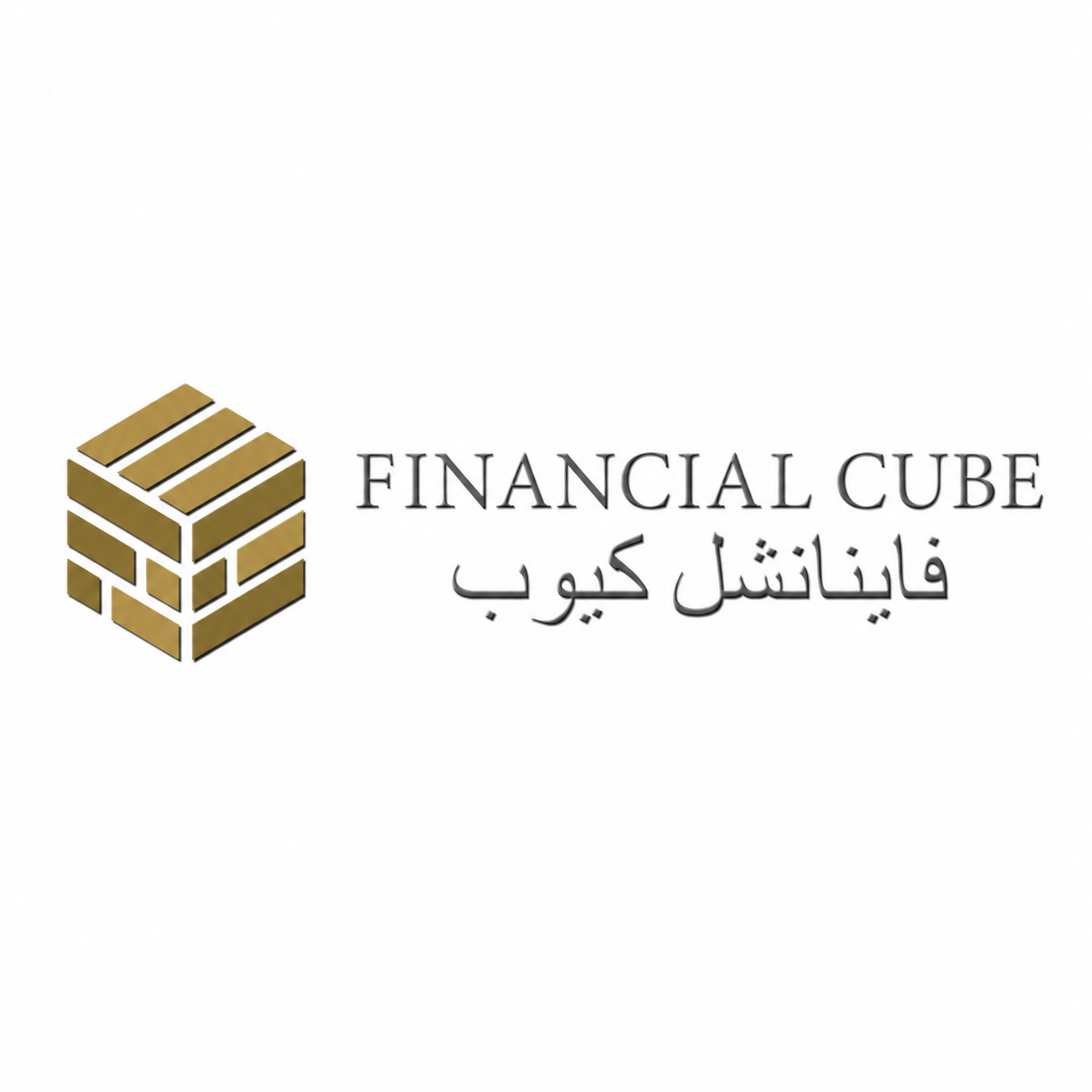 Financial Cube